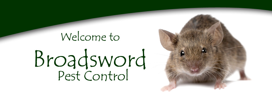  Broadsword Pest Control